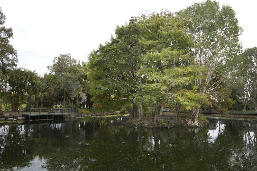 Maroochydore Cabins Hotel Luaran gambar